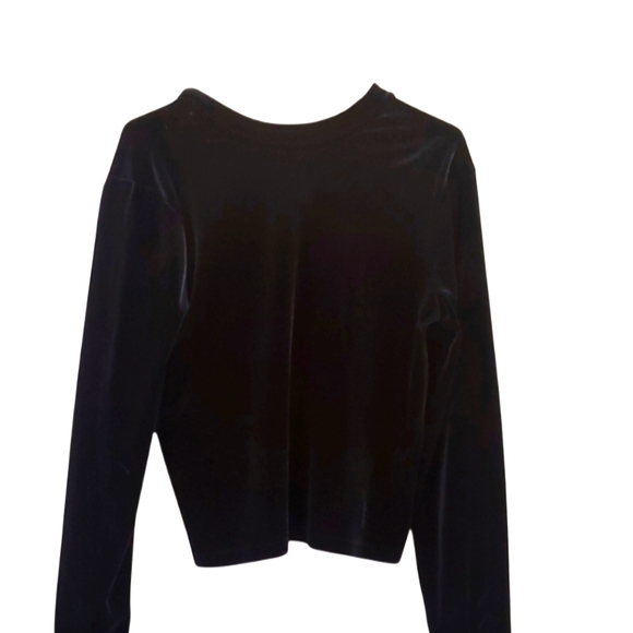 Zara Tops - ZARA- Velvet Blue Top